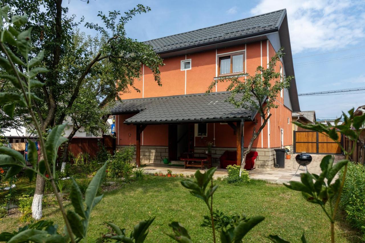 Generous Family Home Vişeu de Sus Exterior foto
